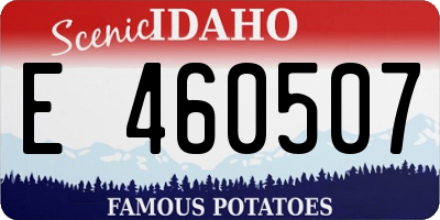 ID license plate E460507
