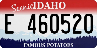 ID license plate E460520