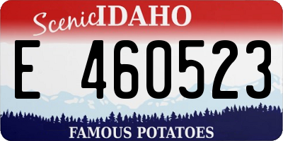 ID license plate E460523