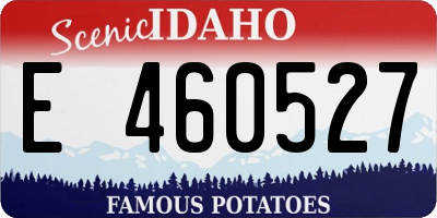 ID license plate E460527