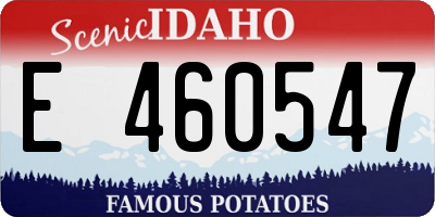 ID license plate E460547
