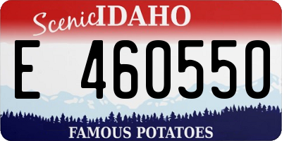 ID license plate E460550
