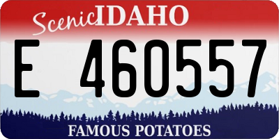 ID license plate E460557