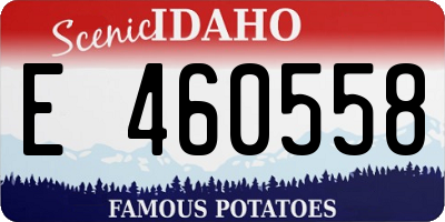 ID license plate E460558