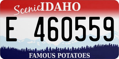 ID license plate E460559