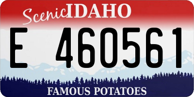 ID license plate E460561