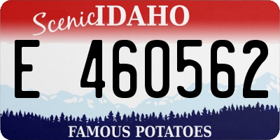 ID license plate E460562