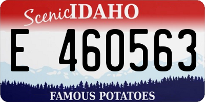 ID license plate E460563
