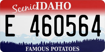 ID license plate E460564