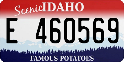 ID license plate E460569
