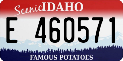 ID license plate E460571
