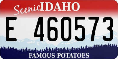 ID license plate E460573