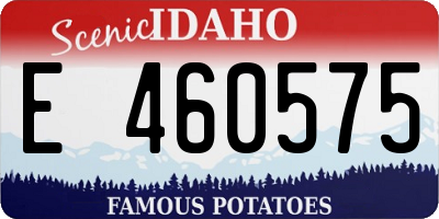ID license plate E460575