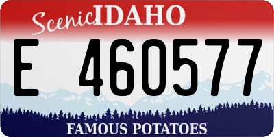 ID license plate E460577