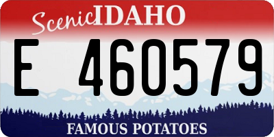 ID license plate E460579