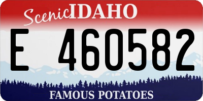 ID license plate E460582