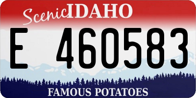 ID license plate E460583