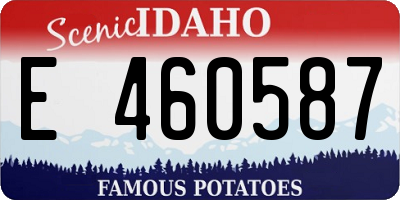 ID license plate E460587