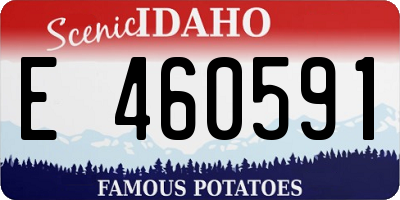 ID license plate E460591