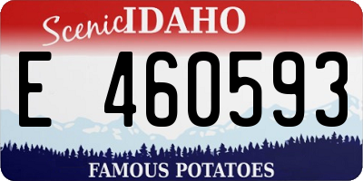 ID license plate E460593