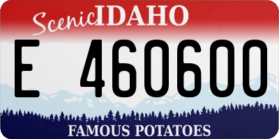ID license plate E460600