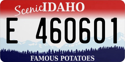 ID license plate E460601