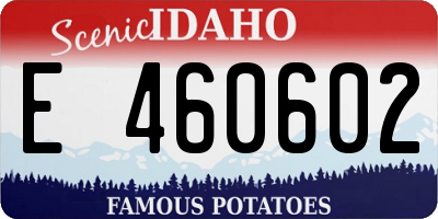 ID license plate E460602
