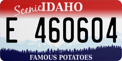 ID license plate E460604