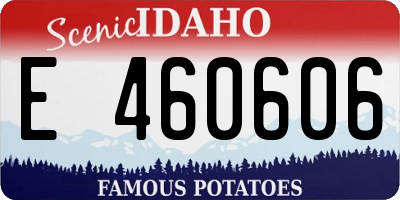 ID license plate E460606
