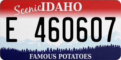 ID license plate E460607