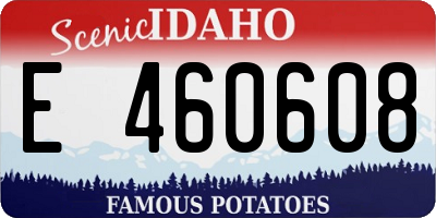 ID license plate E460608