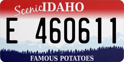 ID license plate E460611