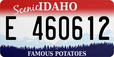 ID license plate E460612