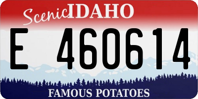 ID license plate E460614