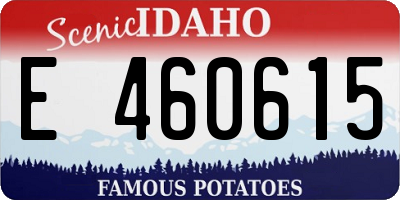 ID license plate E460615
