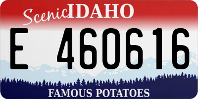 ID license plate E460616