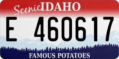 ID license plate E460617