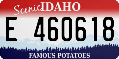 ID license plate E460618
