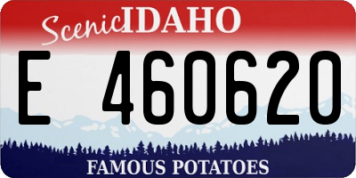 ID license plate E460620