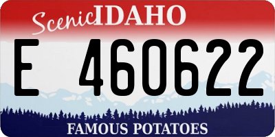 ID license plate E460622