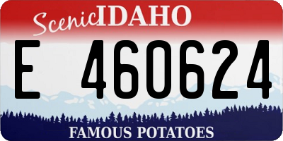 ID license plate E460624