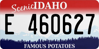 ID license plate E460627