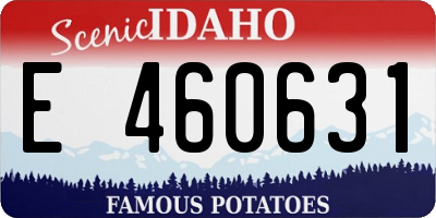 ID license plate E460631