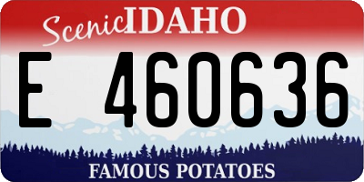 ID license plate E460636