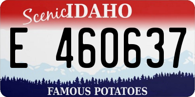 ID license plate E460637