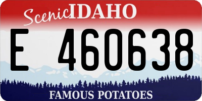 ID license plate E460638