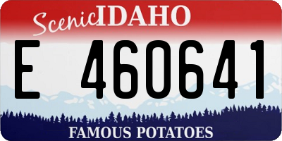 ID license plate E460641
