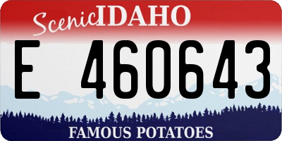 ID license plate E460643