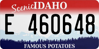 ID license plate E460648