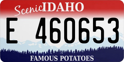 ID license plate E460653
